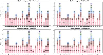 Chloroplast genomes of four Carex species: Long repetitive sequences trigger dramatic changes in chloroplast genome structure